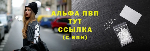 сатива Магадан