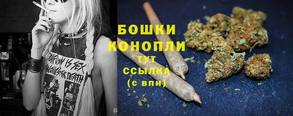 сатива Магадан