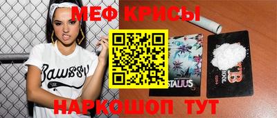 стаф Аргун