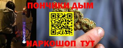 шишки Абакан