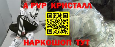 стаф Аргун