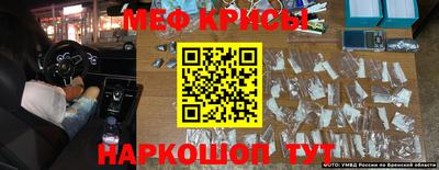 стаф Аргун
