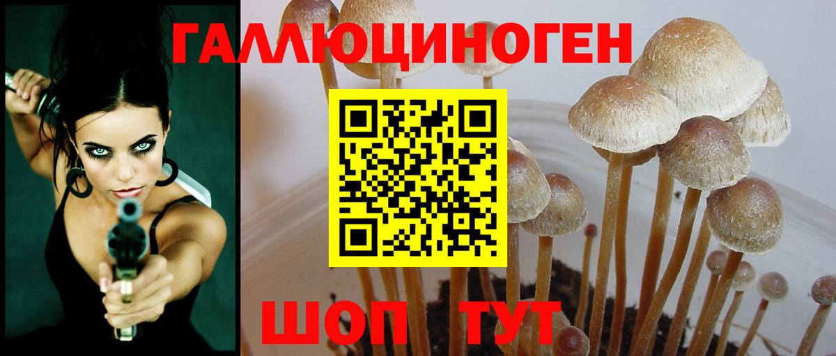 Псилоцибиновые грибы прущие грибы  Апрелевка 