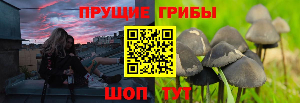 даркнет сайт  Вход с VPN  Апрелевка  Галлюциногенные грибы GOLDEN TEACHER 